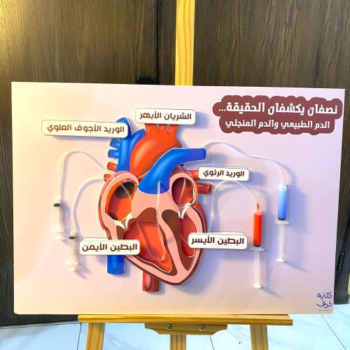لوحة عن القلب