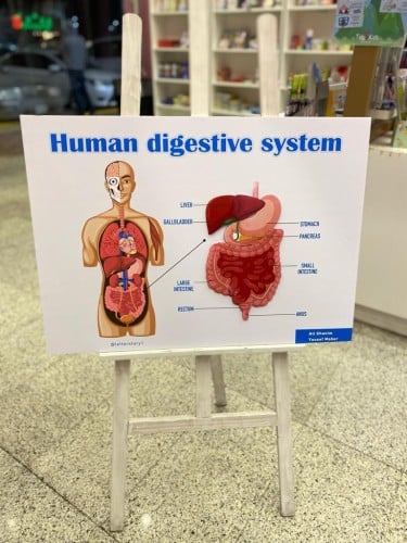 لوحة جسم الانسان