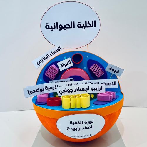 مجسم الخلية الحيوانية