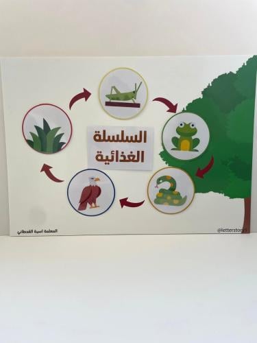 لوحة السلسلة الغذائية