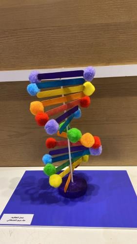 مجسم تركيب DNA