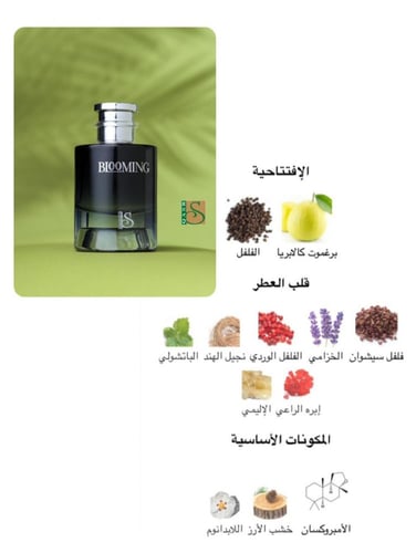 BLOOMING - بلومنغ