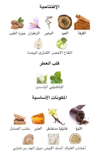 GOLDEN EXCITED - جولدن اكسايتد