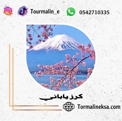 زيت عطري -كرز ياباني 120 مل