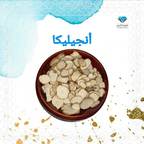 أعشاب صينية - أنجليليكا