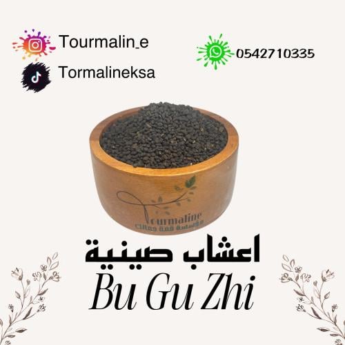أعشاب صينية- bu gu zhi-جرام100
