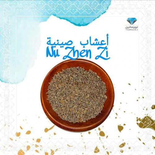 (صينية ) nu Zhen zi -جرام 100