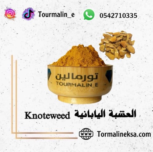 العشبة اليابانية (knoteweed)-250 جرام