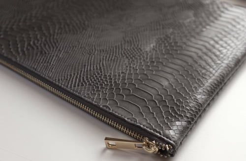 باوتش/ رمادي