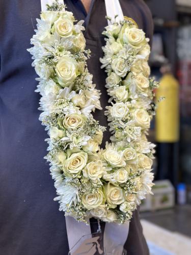 عقد تخرج (طبيعي)