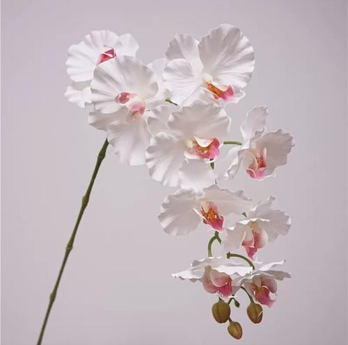 اوركيد صناعي - غصن (١) Orchid