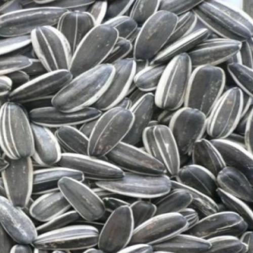 فصفص دوار الشمس مالح 250 جم