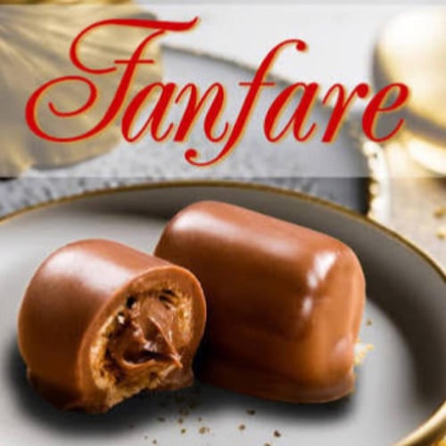 اصابع شكولاتة فانفير القديمة الاصلية مستورد 30 جم