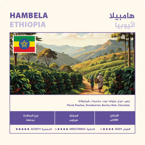 هامبيلا - نهج