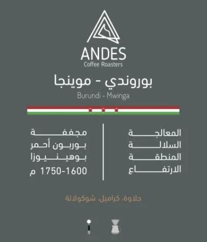 روندي موينجا-انديز