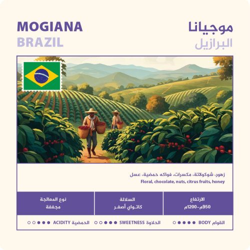 برازيل موجيانا - نهج