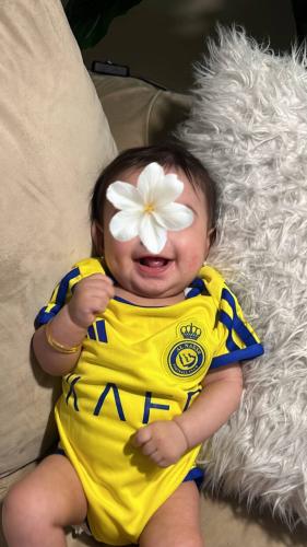 بربتوز النصر الجديد 2026