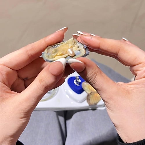 بكج المحار " الاكثر مبيعاً