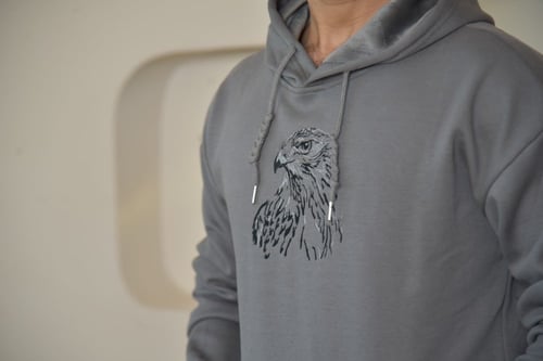 هودي الصقر الرمادي