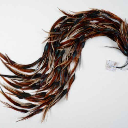 Feather Brunette Dark Houdan - every string is 50...