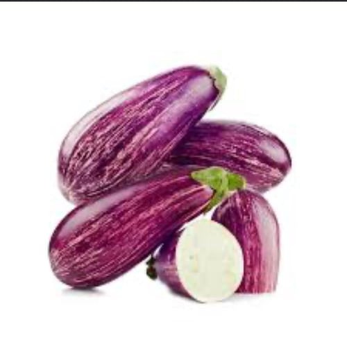 بذور باذنجان مخطط مبكر النمو - striped eggplant se...