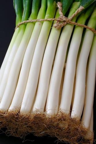 بذور الكراث العجيب - miraculous leek seeds