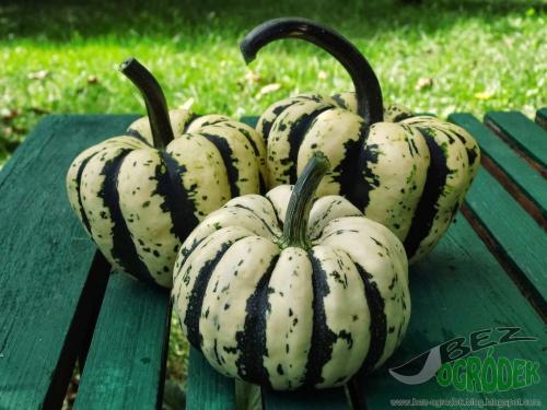 قرع الشتاء الحلوه زلابية