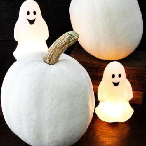 بذور اليقطين - كاسبر - Pumpkin Seeds - Casper