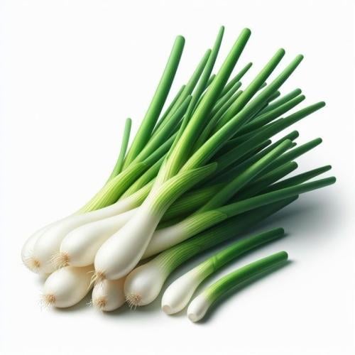 بذور بصل اخضر لشبونة الأبيض ( عضوي - هجين )