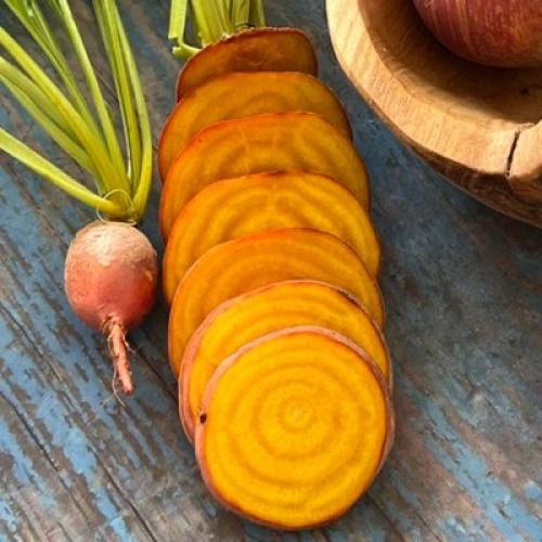 بذور شمندر العين الذهبية ( بنجر ). - Golden eye be...