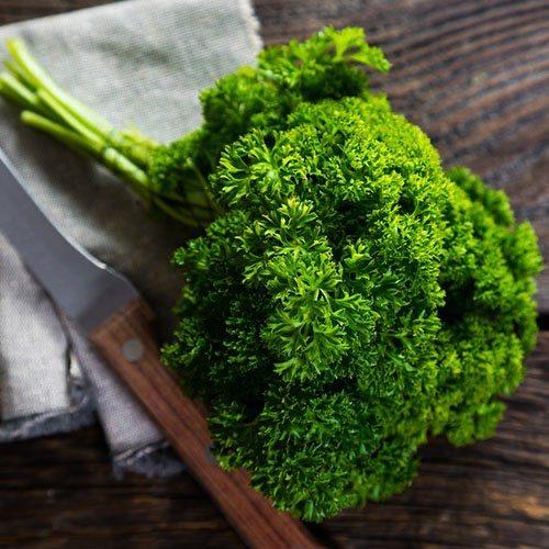 بذور بقدونس مجعد