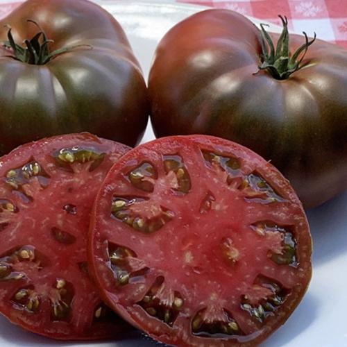 بذور الطماطم شيروكي أرجواني - Tomato Seeds - Slici...