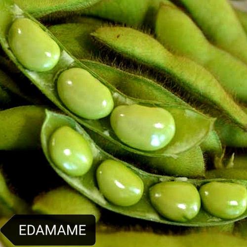بذور ادمامي فول الصويا الأخضر شيبا ( عضوي). - Chiba Green Soybean( Edamame)