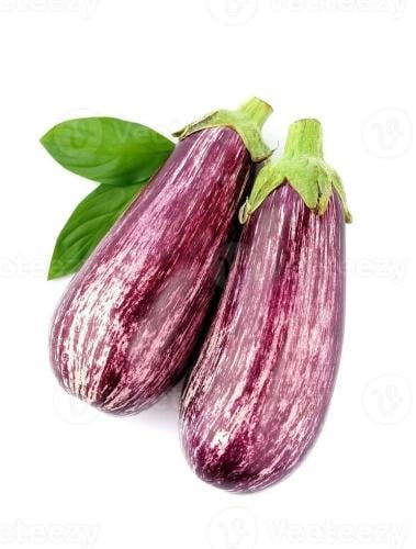 بذور باذنجان مخطط مبكر النمو - striped eggplant se...