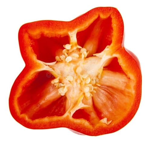 بذور فلفل احمر ساحة استي روسو الحمراء - Red Este R...