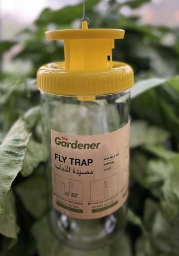 مصيدة ذبابة الفاكهة مع كيس فرمون