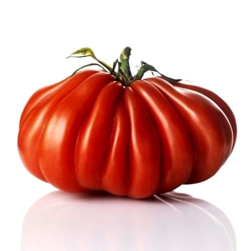 بذور طماطم روسو - صفلية - Tomato Seeds - Slicing -...