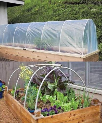 اطار (طوق) لدعم غطاء بلاستيكي او شبك