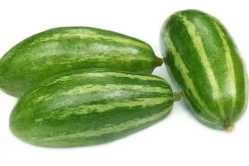 بذور خيار البطيخ كاروسيلو النادر - Cucumber Muskme...