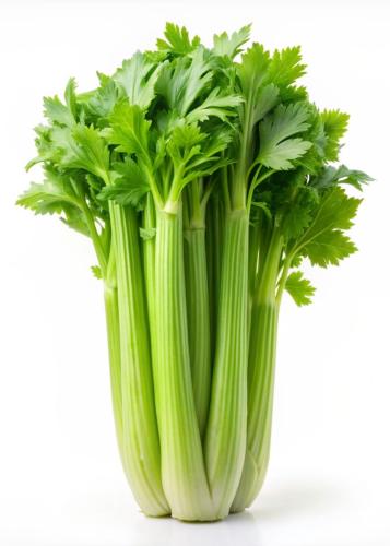 بذور الكرفس المقرمش - Crunchy celery seeds