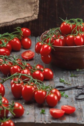 بذور طماطم الكرز متعة البستاني ( عضوية ) - Tomato...