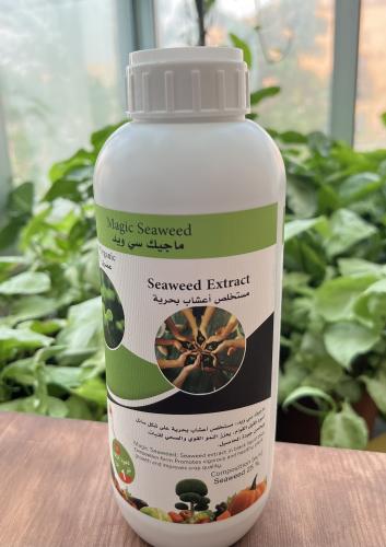 سماد الطحالب البحرية السائل ( عضوي)