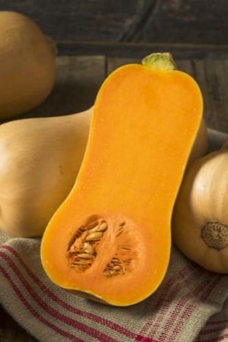 بذور قرع الجوز ( هجين ) - F1 butternut squash seed...
