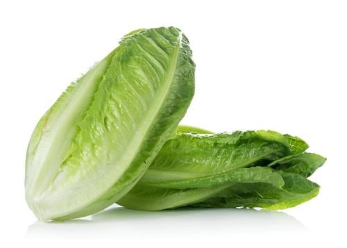 خس روماني طويل ومقرمش - Long, crunchy romaine lett...