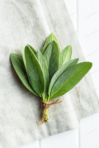 بذور عشبة الميرمية - Sage seeds