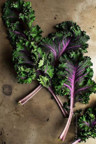 بذور الكيل مختلط(هجين ) شركة جوني -Kalettes MIXED...