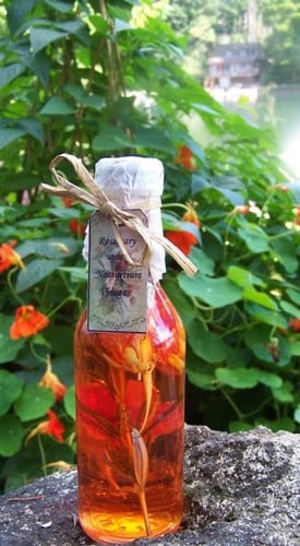 بذور زهور نسترشيوم ( ابو خنجر ) الاسكا سلمون برتقا...