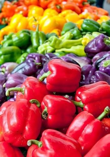 بذور فلفل حلو مزيج جرس قوس قزح الملون - Pepper See...