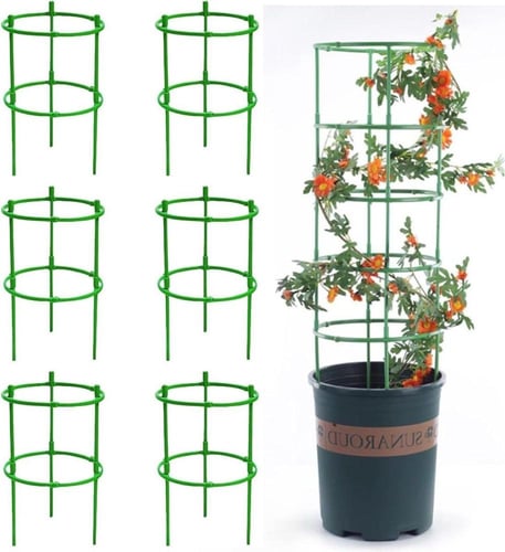 10 حلقات دعم نباتية قابلة للتكديس والتشكيل .