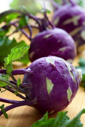 بذور كولرابي بنفسجي وأبيض ( هجين ) كرنب - Purple a...